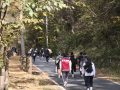 2024학년도 10월 군사학부 체육활동 (소백산 등반)